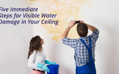 Five Immediate Steps for Visible Water Damage in Your Ceiling