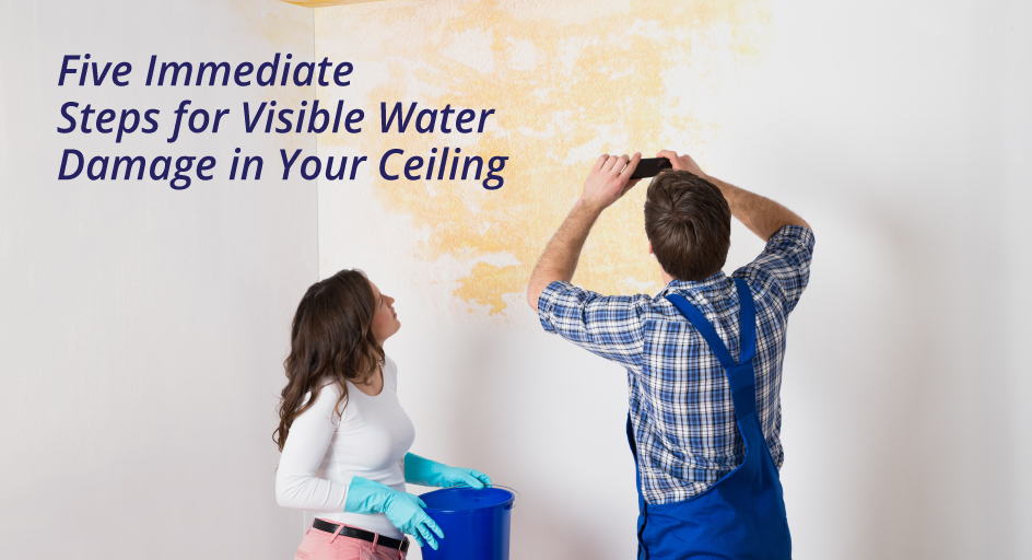 Five Immediate Steps for Visible Water Damage in Your Ceiling