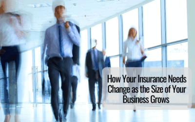 How Your Insurance Needs Change as the Size of Your Business Grows 