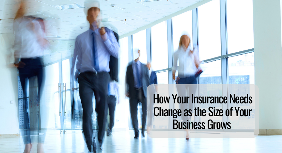 How Your Insurance Needs Change as the Size of Your Business Grows