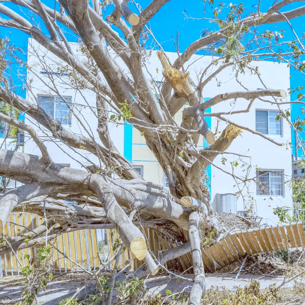 avoid-large-losses-with-commercial-property-coverage_original