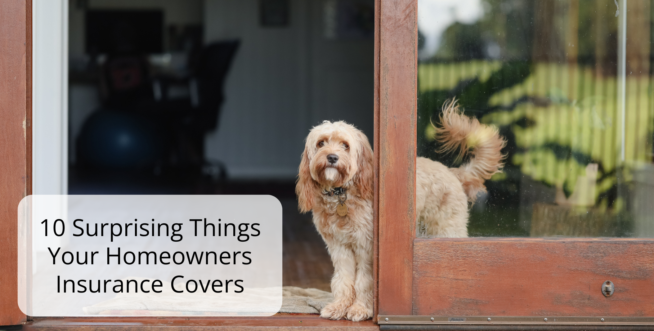 10 Surprising Things Your Homeowners Insurance Covers 1