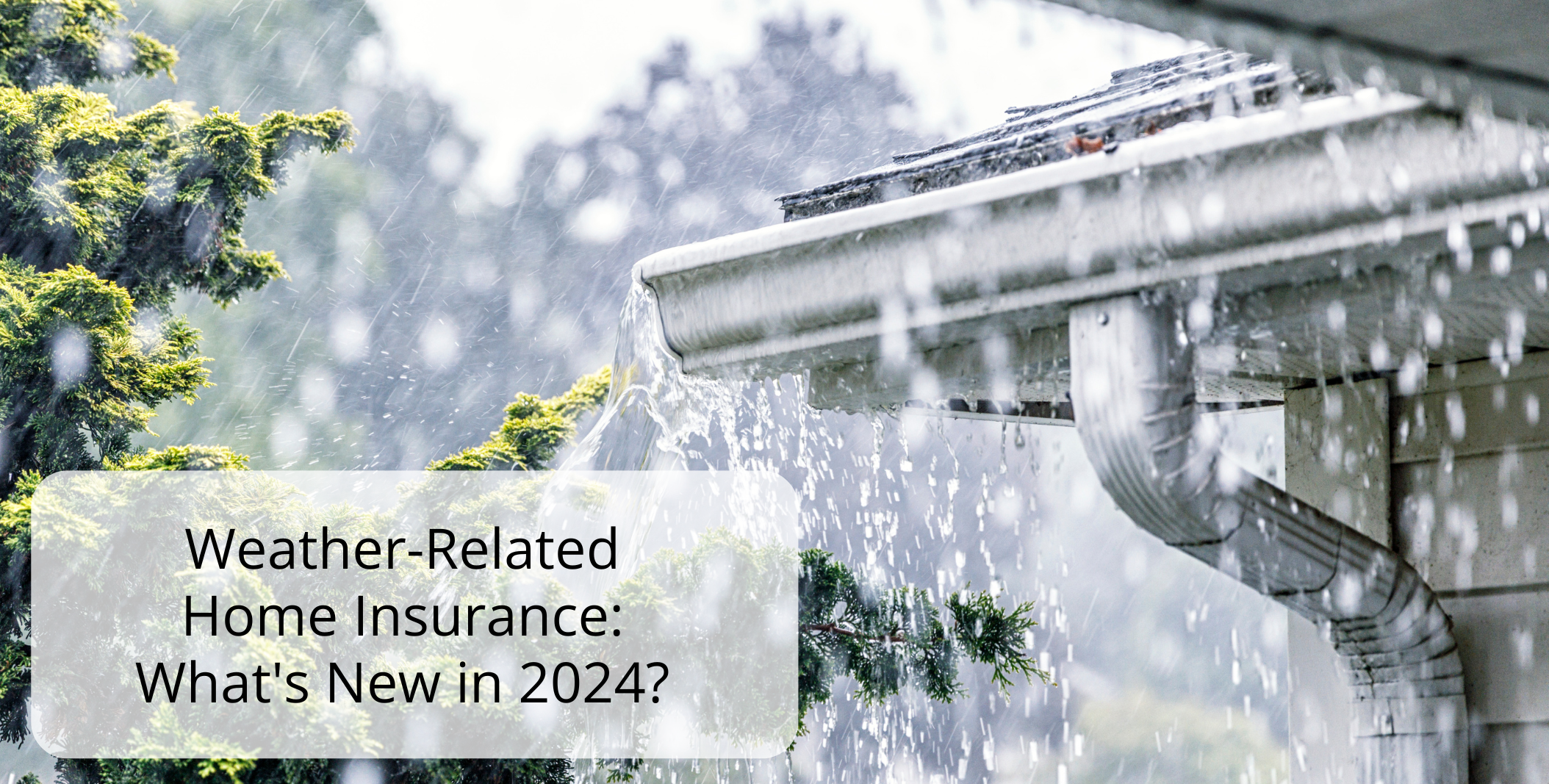 Weather Related Home Insurance  Whats New in 2024  2
