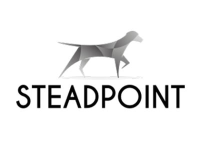 steadpoint