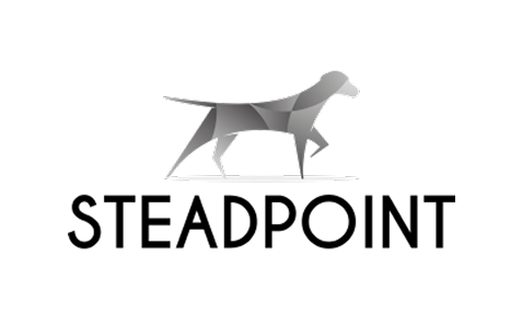 steadpoint